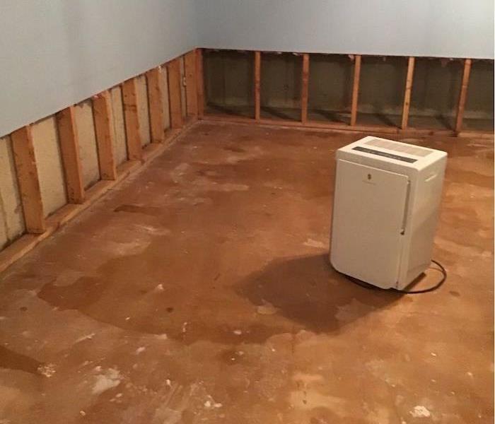 Basement with wet floor and flood cuts on walls