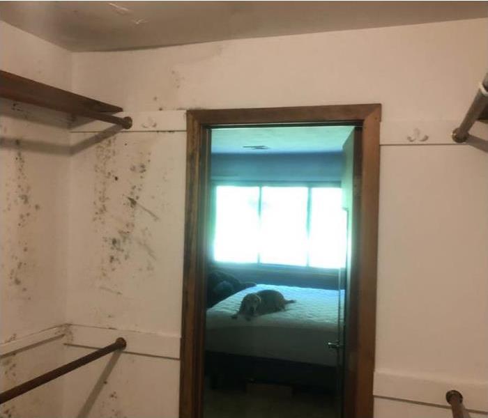 Alt Image: Mold damage on the white walls of a closet