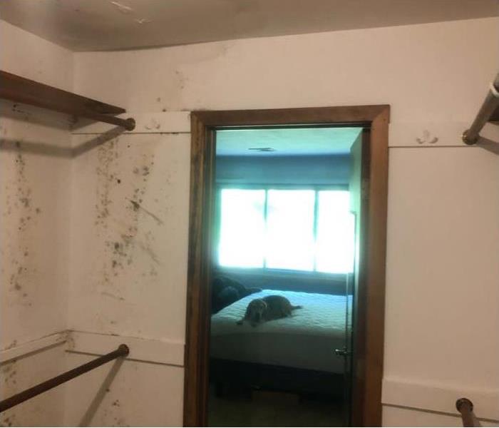 Mold damage on the white walls of a closet